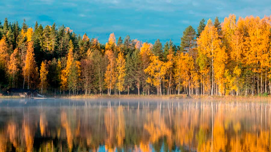 Suomen Vesistösäätiö yhteistyöhön puhtaan veden puolesta