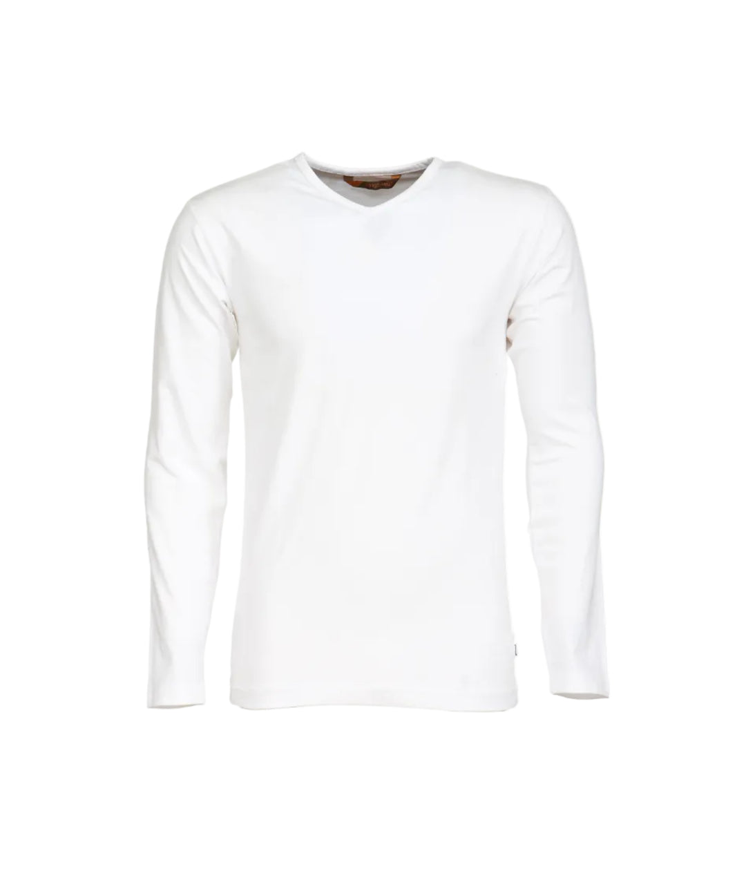 Men's shirt, slim, V-neck, long-sleeved