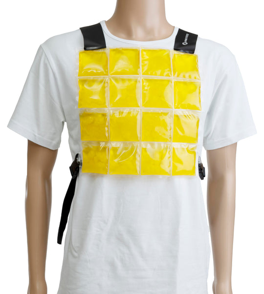 Cooling vest