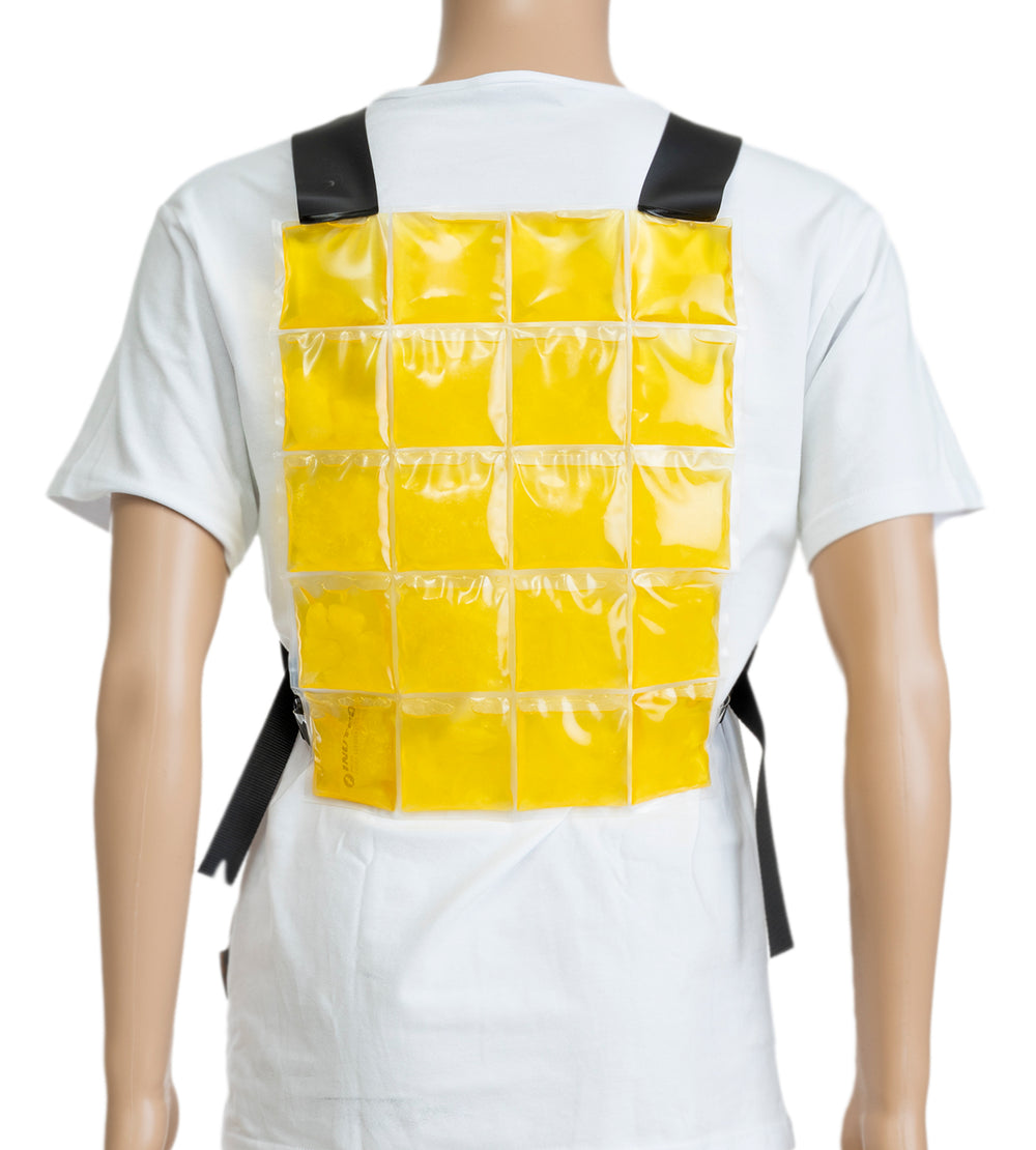 Cooling vest
